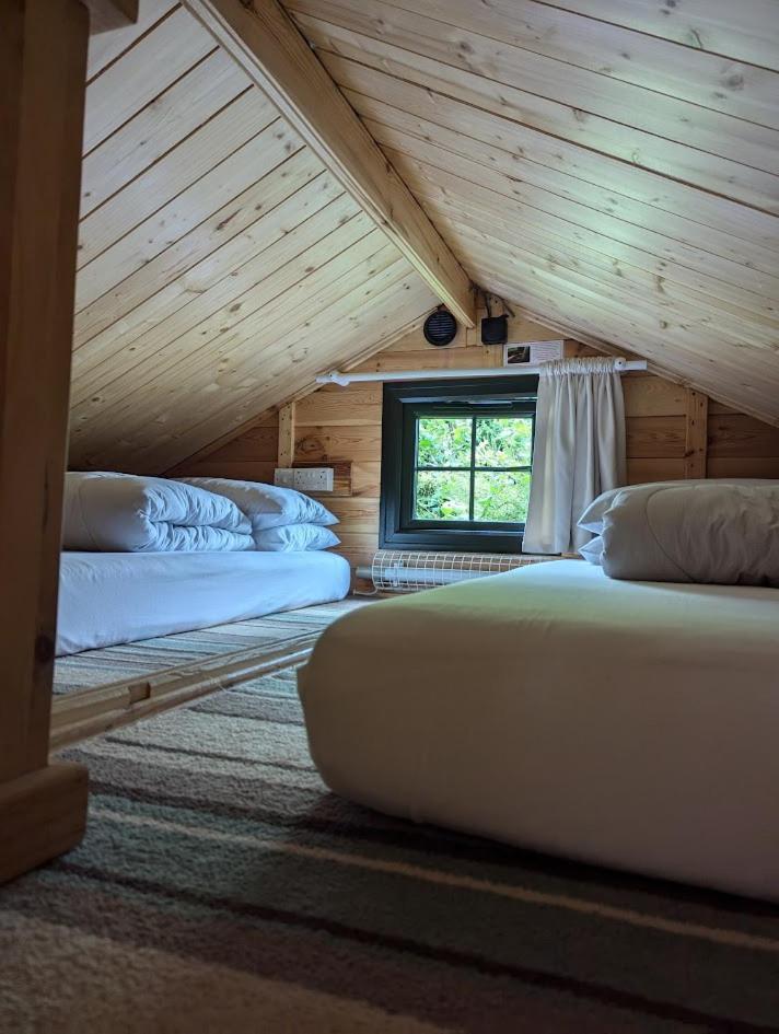 'Monktonmead Lodge' In Secluded Setting, With Private Indoor Pool. Ryde Kültér fotó
